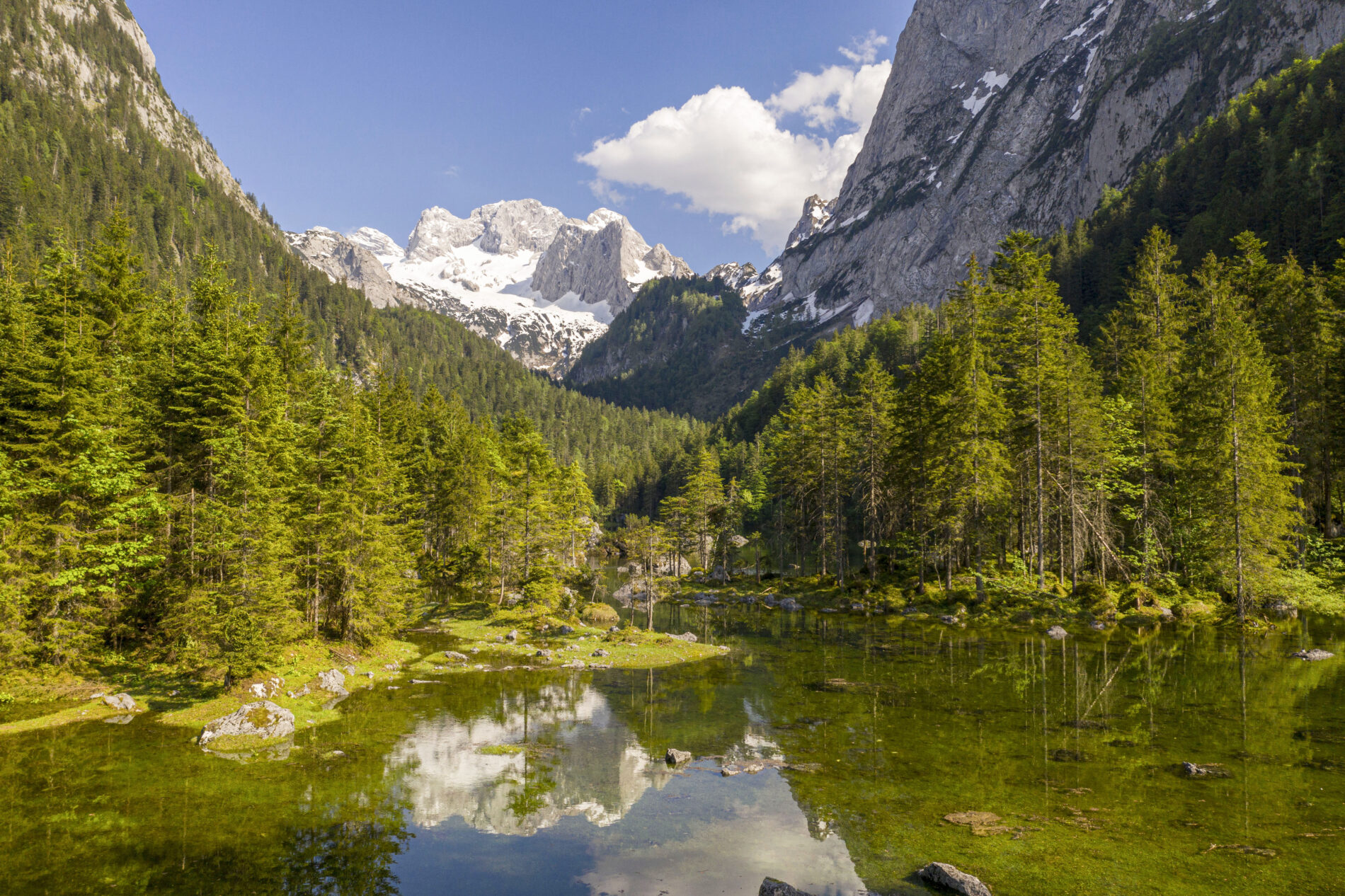 Hinterer Gosausee Dachsteinblick Foto Rudikainphotografie